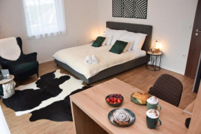 Silentium Premium Apartman Sárvár